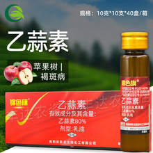 �\ɫ��80%���������� �O����ְ߲��������rș������