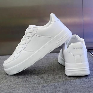 8239   ���ɿ���q����