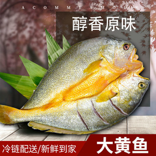 ���������ִ����S�~���|�����r���S�~��ϴ����Ó֬�S���~