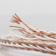 8TC�ξ��~���Ⱦ�ɢ�� �l�����þ���̖�������侀��푹����B�Ӿ�