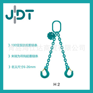 Original Imported German Jdt Lifting Sling Double Limb Lifting Chain Load 2T-37T
