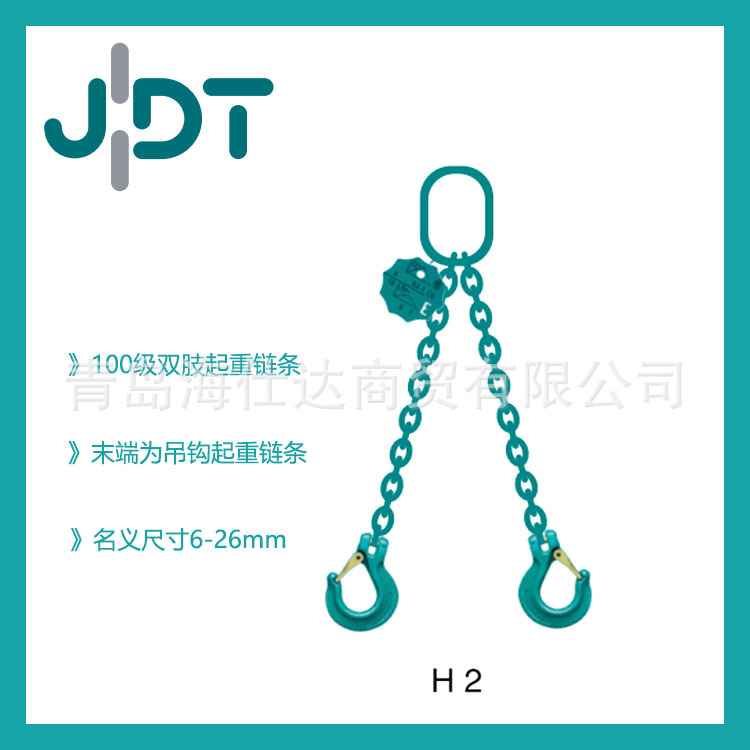 供应正品德国JDT起重链条 双肢整套起重链条