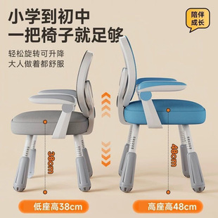 Stable Learning Chair Leaf Backrest Writing Chair Manufacturer Source Primary and Secondary School Students Children Learning Writing Chair