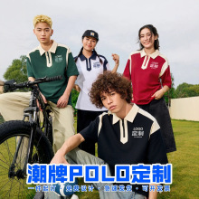 ��ʽ�͹�ײɫPOLO��������\�ӕ��WԺ�L�����ذ��޶���logo�D