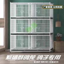 yut䌦\Bֳ܎ʳˮӻ\S҃չʾ