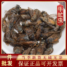 ţ��x1000g��ș�ĬF؛���l������؛��ș�����ţ����ţå�x500g