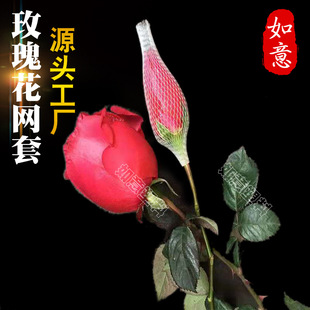 õ�廨�W�����l�¼����ܱ��o�W�׻��ٻ��yˢ�t��ƿ���b����������