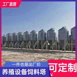 养殖场上料塔粮仓自动化养猪料线饲料塔是蛟龙连线塞盘链条全自动