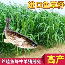 KݷNB~ݷNߵݷN~ݷNļ׸