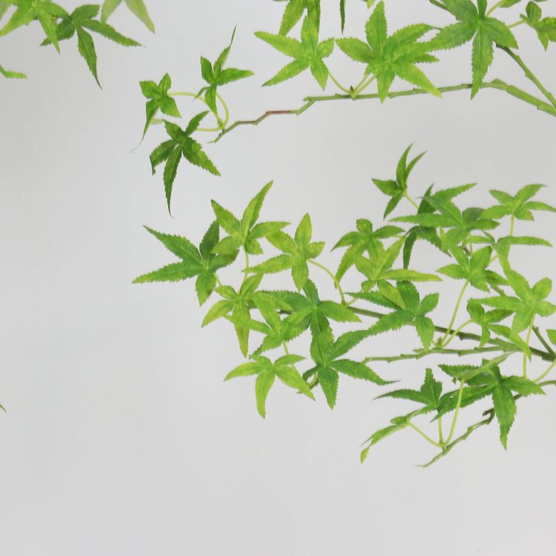 新しい模擬緑の植物、模擬カエデの葉の木、インターネット有名人の緑のカエデの木、ホテルのショッピングモールの緑の植物、模擬木、屋内および屋外の装飾|undefined