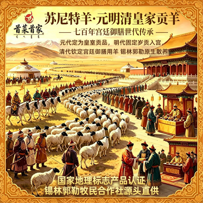 产品展示图