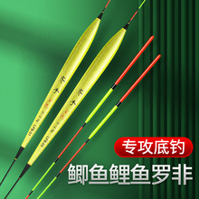 �R���_��Ư���`�����_���L���~Ư��ឺڿ��a�~���~�_�wƯ��������