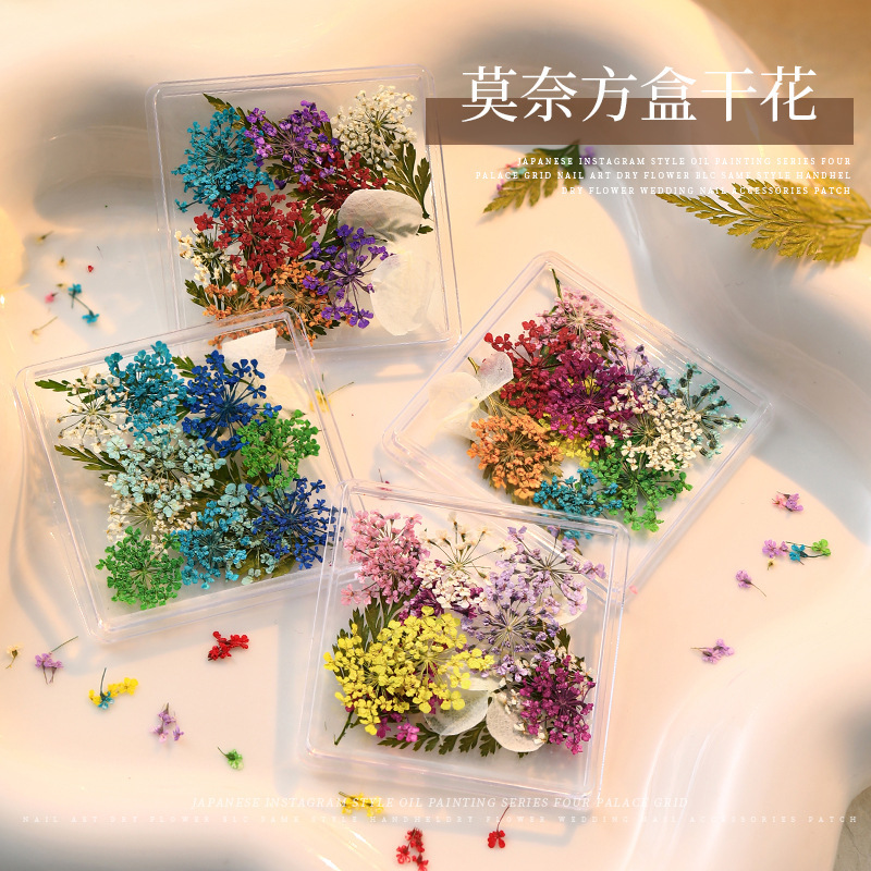 Japanese dried flower nail art explosion small fresh baby's breath small floral real flower jewelry small daisy DIY nail art accessories