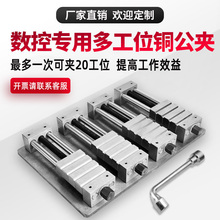 多工位铜公夹具cnc多工位平口钳加工工装夹具电脑锣电极夹具