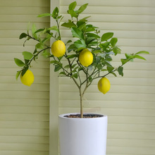 �҃����ԾGֲ�^���b�����ˮ�������ԙ����糣��ֲ��ͥԺ����