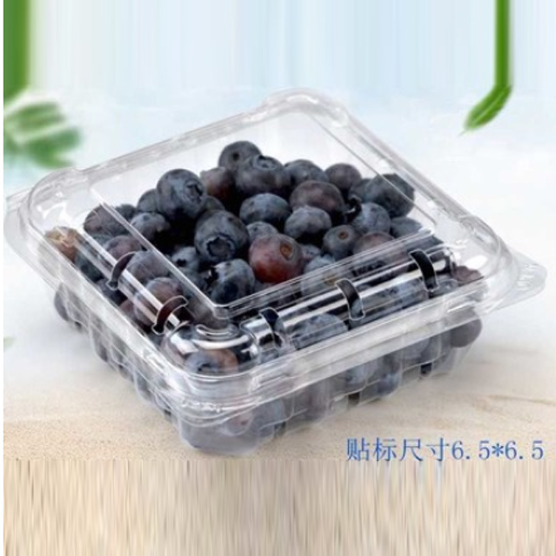 125克蓝莓盒樱桃车厘子枸杞包装盒带盖带孔树莓怡颗莓盒子1000个