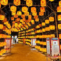 百家姓方灯笼户外防水景区街道国潮网红灯笼夜景装饰古风创意花灯