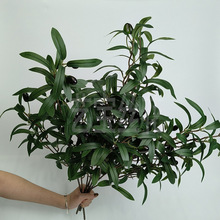 ¿GֲL֧ϙ֦Ĕz߷~cҾӲ廨[