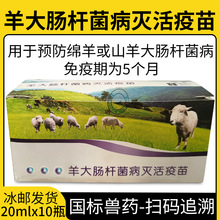 兽药福贝德双黄连口服液牛羊猪狗猫兔各种热毒症清热解毒凉血泻火