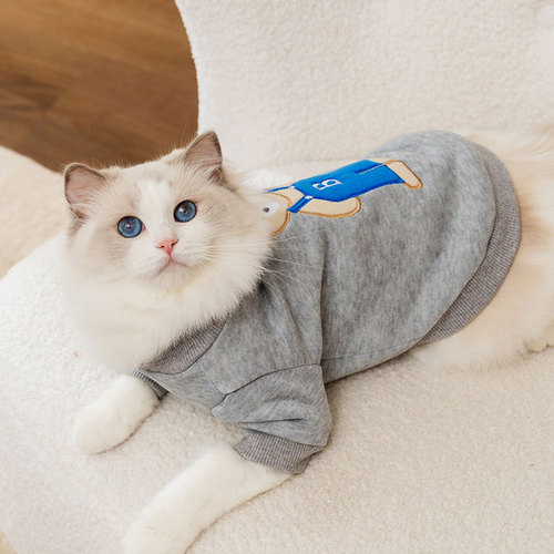 23 New Cat Clothes Cute Bear Round Neck Two-Legged Sweatshirt Blue Cat Kitten Pet Dog Cat Clothing