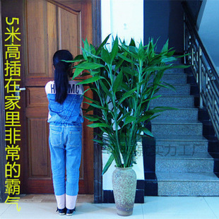 ��.5���ش��񡿸��F�� ˮ�Bˮ ���^�����҃ȃ����՚���;Gֲ����