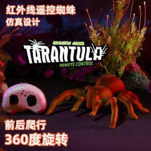 �羳�t�⾀�b��֩��������ư�x�������x��߃�ͯ��߶YƷ���R�d