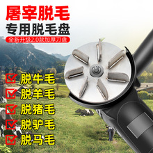 ���P䓹��ië���i�^�i�_�굶ţ�����ȥ��ë�������iƤ��ë������