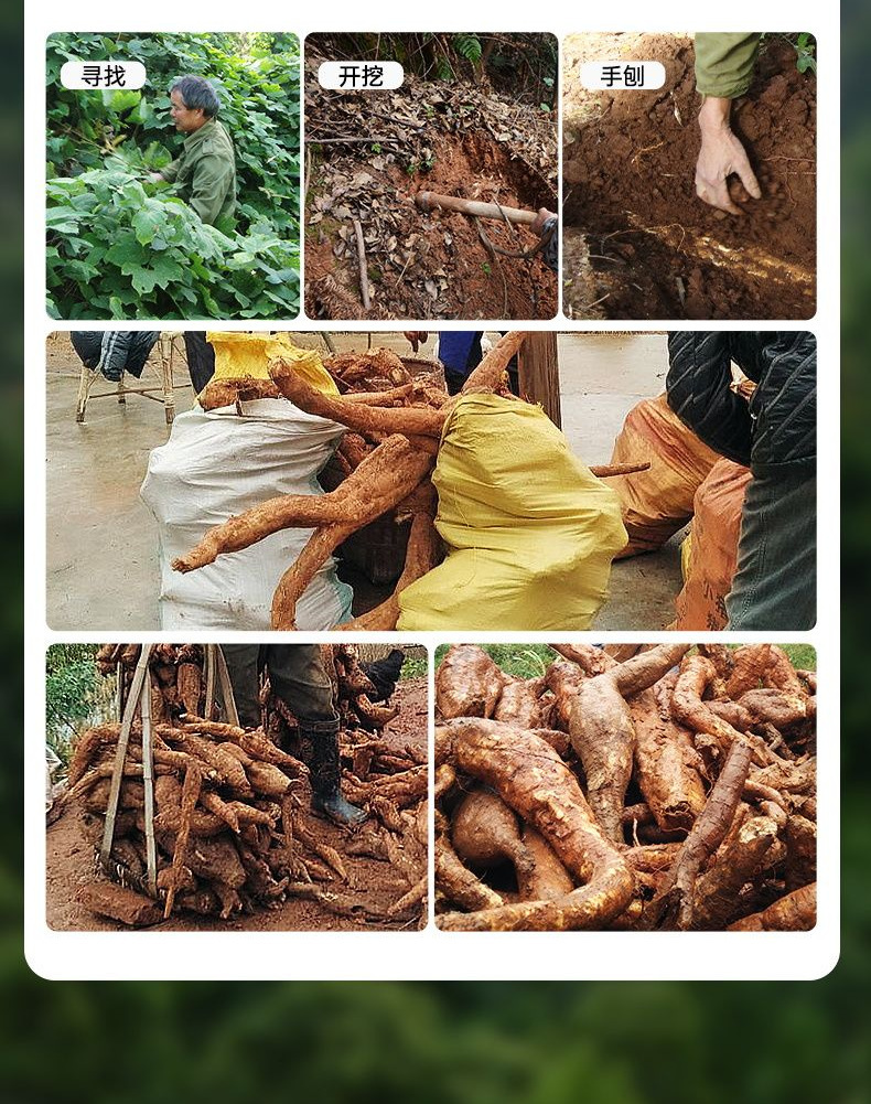 Wild Kudzu Root Powder Ge Gen Fen Pueraria lobata 250g Natural Meal Replacement Supplement overview