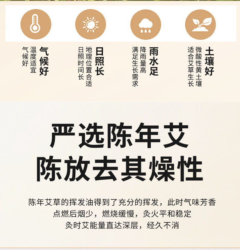 Five-Year Aged Moxa Cones Ai Zhu 20:1 Ratio 1.8x2.7cm 54 Pieces for Moxibustion key features