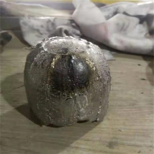 �����L���͸ߜ�1800���������Ͻ� 1500��1600�ȸߜز�׃��������