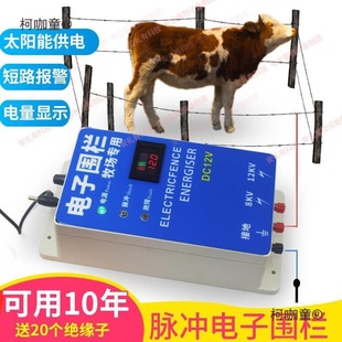 Livestock Electronic Fence, Electric Fence, Pulse Electronic Fence Host, Ranch Breeding Complete Set of High Voltage Electric Metabo