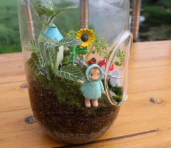 Creative capsule glass bottle moss micro landscape, crystal transparent succulent plant glass vase, glass decoration