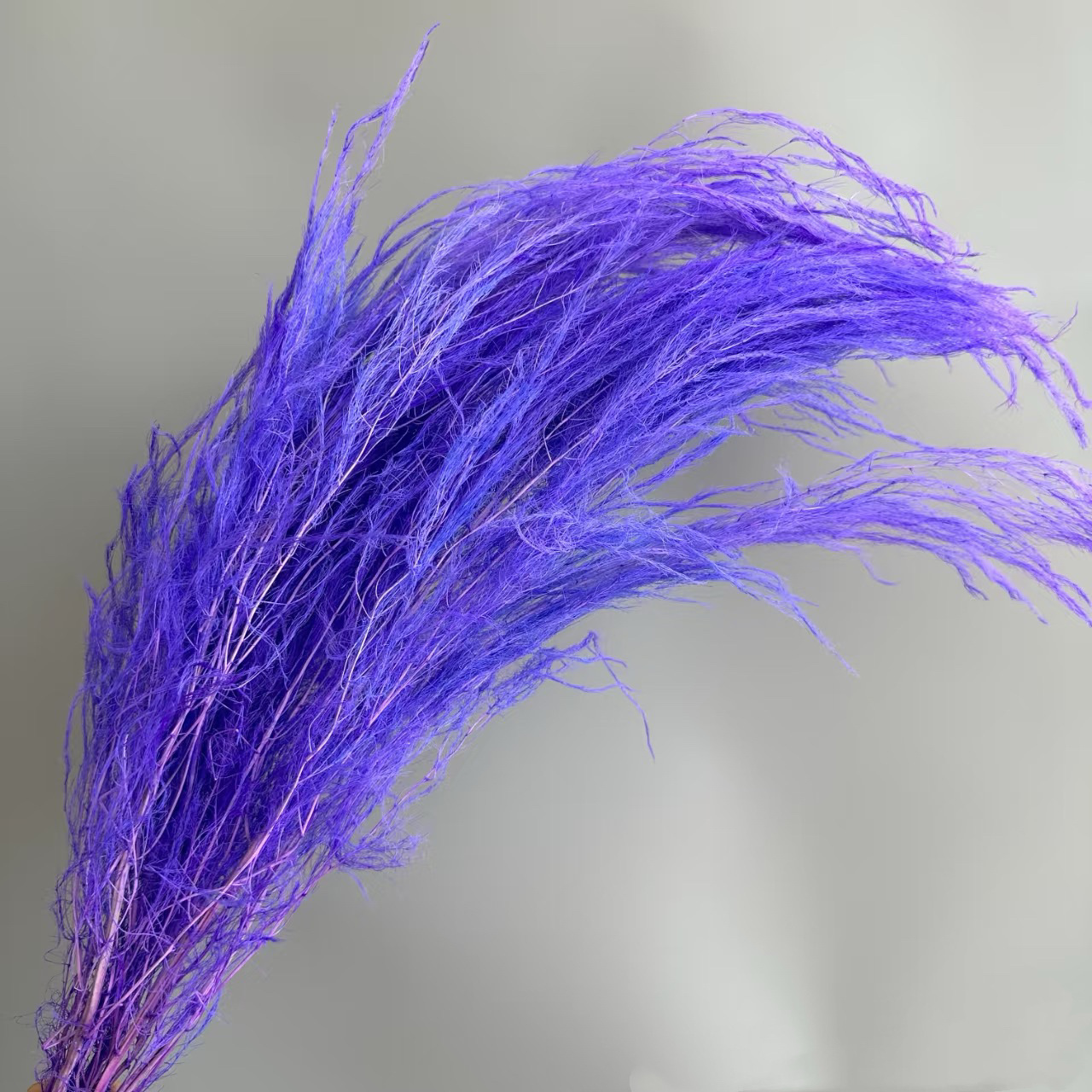 Florista sueña material floral suave decoración de bodas hierba de pelo seco flores eternas multicolores al por mayor