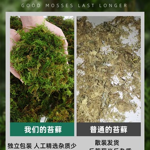 ��̦�\�����mˮ̦�m���I�B����ֲ̦��Nֲ����������߉|����