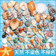 ��Ȼ����ؐ���~���쾰�b�ˮ�����쾰��ؐ�����ݺ��ݚ��|�L�ݔ[��