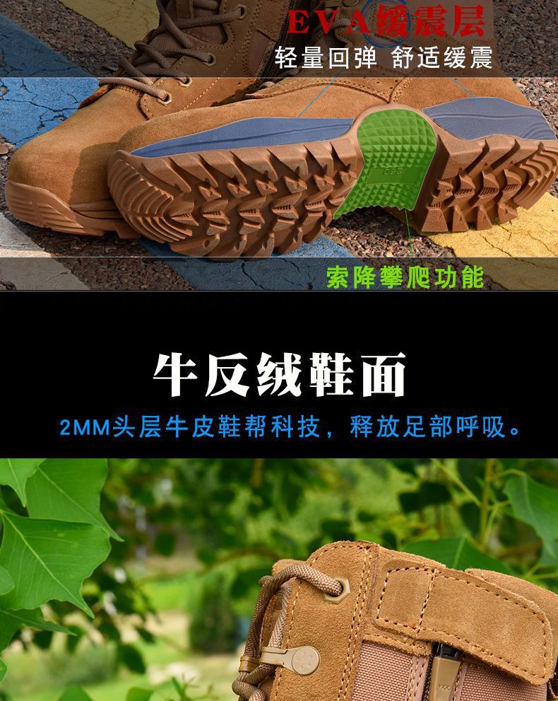 eac03de7-1fb1-472a-b932-f8a4aebcce4c.jpe