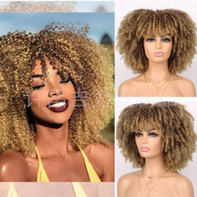 外贸欧美女士爆炸头假发 非洲小卷Afro Curly Wig蓬松短卷发头套