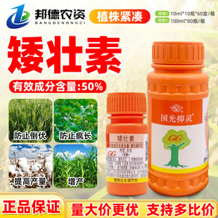 �������`50%������ �߲�С���޻���ֹ���Lͽ�L����ֲ�����L�{����