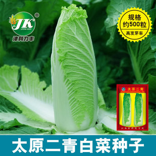 �S�����l��Ʒ�N̫ԭ����ײ˷N�ӾG���ڏ��Ͷ�����ײ˷N���＾��