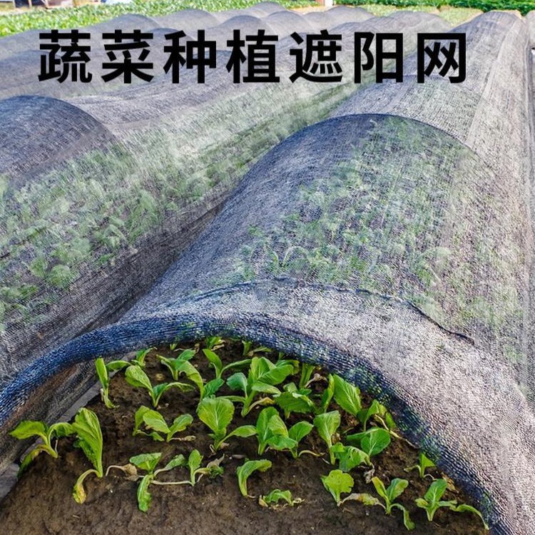 遮阳网加厚加密防晒网遮阴太阳黑网阳台植物户外庭院农用大棚隔热