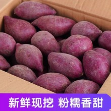 5斤小紫薯红薯新鲜农家沙地自种小个番薯粉糯地瓜板栗红薯整箱3斤