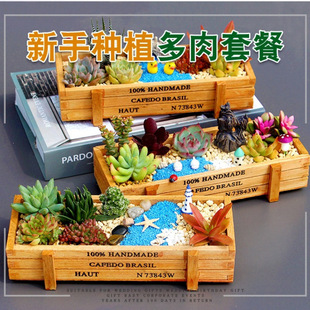 ����ֲ��M�������ײ�diy΢���^���ϰ��׃��@��ͯ�Y�н̎����Y��