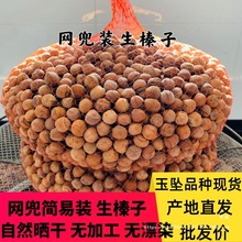 生榛子2025新货东北特产铁岭开原自然晒干野生山榛子未加工生吃