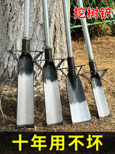 挖树专用锹洛阳铲铁锹锰钢挖树挖坑打洞起苗铲树根沟挖土工具