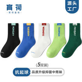 儿童袜子春秋薄款中大童男童男孩秋冬无骨棉袜棉运动防臭中筒袜