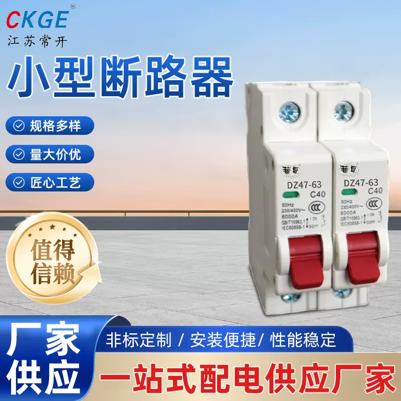 DZ47-63系列小型断路器1P2P3P4P微型电闸空气开关6A~63A家用