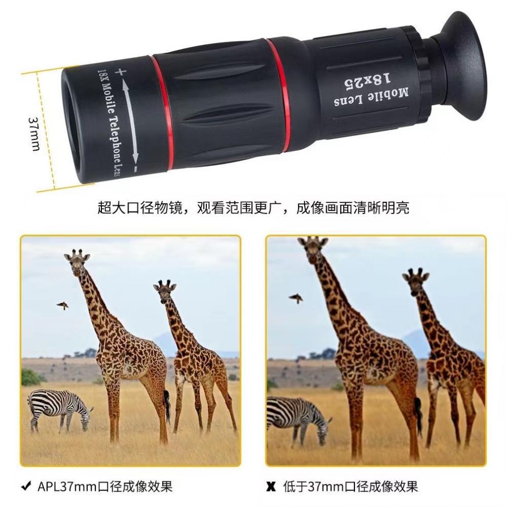 133898ac-3a29-4597-a4ac-fd5b77c164c5.jpe