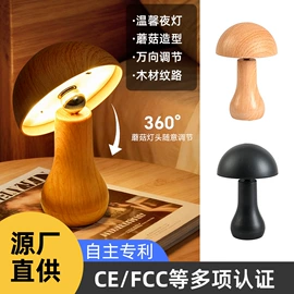 室内壁灯;小夜灯;化妆镜