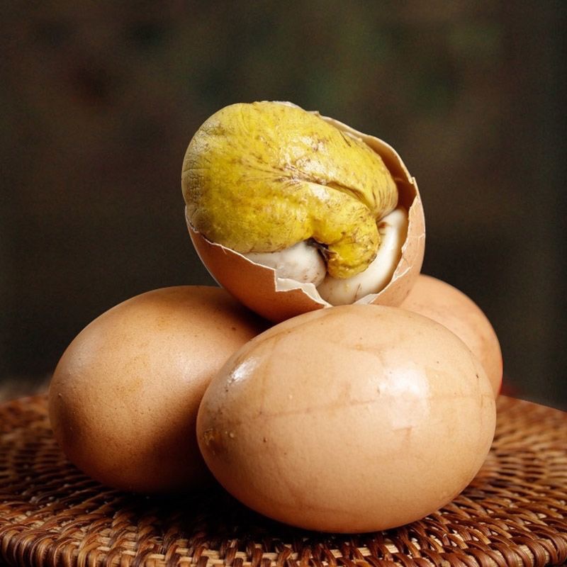 活珠子13天鸡蛋新鲜鸡坯蛋熟鸡蛋土鸡蛋喜蛋活珠子凤凰蛋