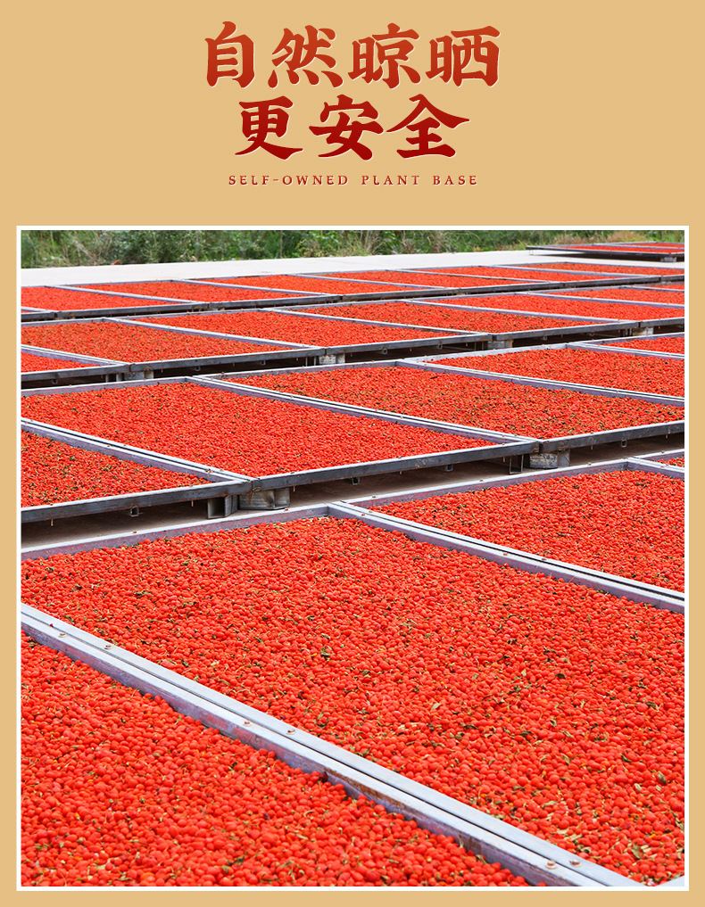 Dried Ningxia Goji Berries Gou Qi Zi 40 Jin Bulk Box Premium Grade specifications
